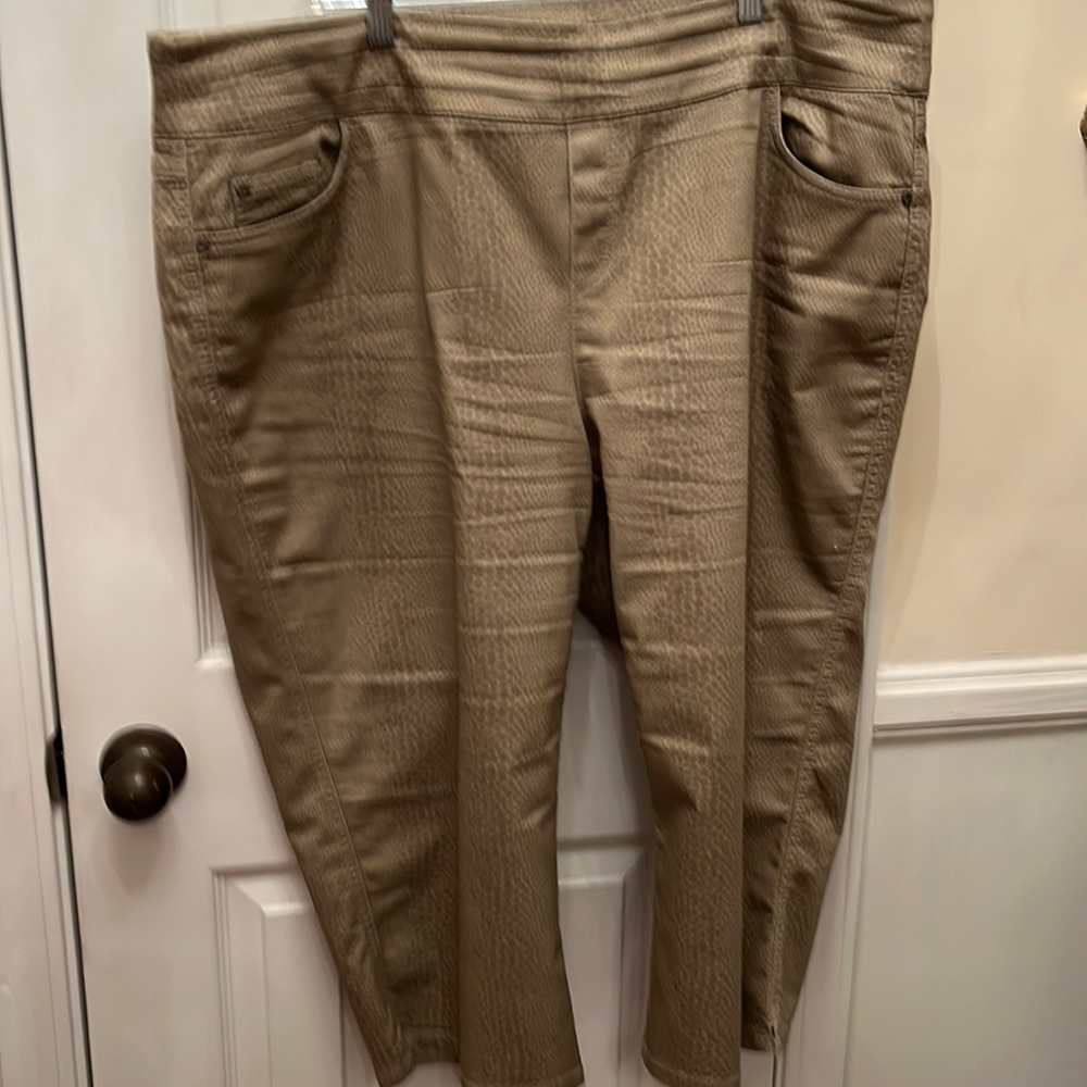 Ladies  slacks. Beautiful print. Size 20w by Intro…casual elegance